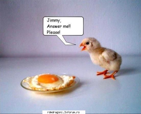 Funny - razvan_yo - PIctureS
