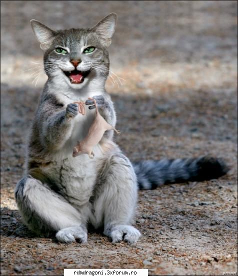 Funny - cool...;) ce credetzi? - PIctureS